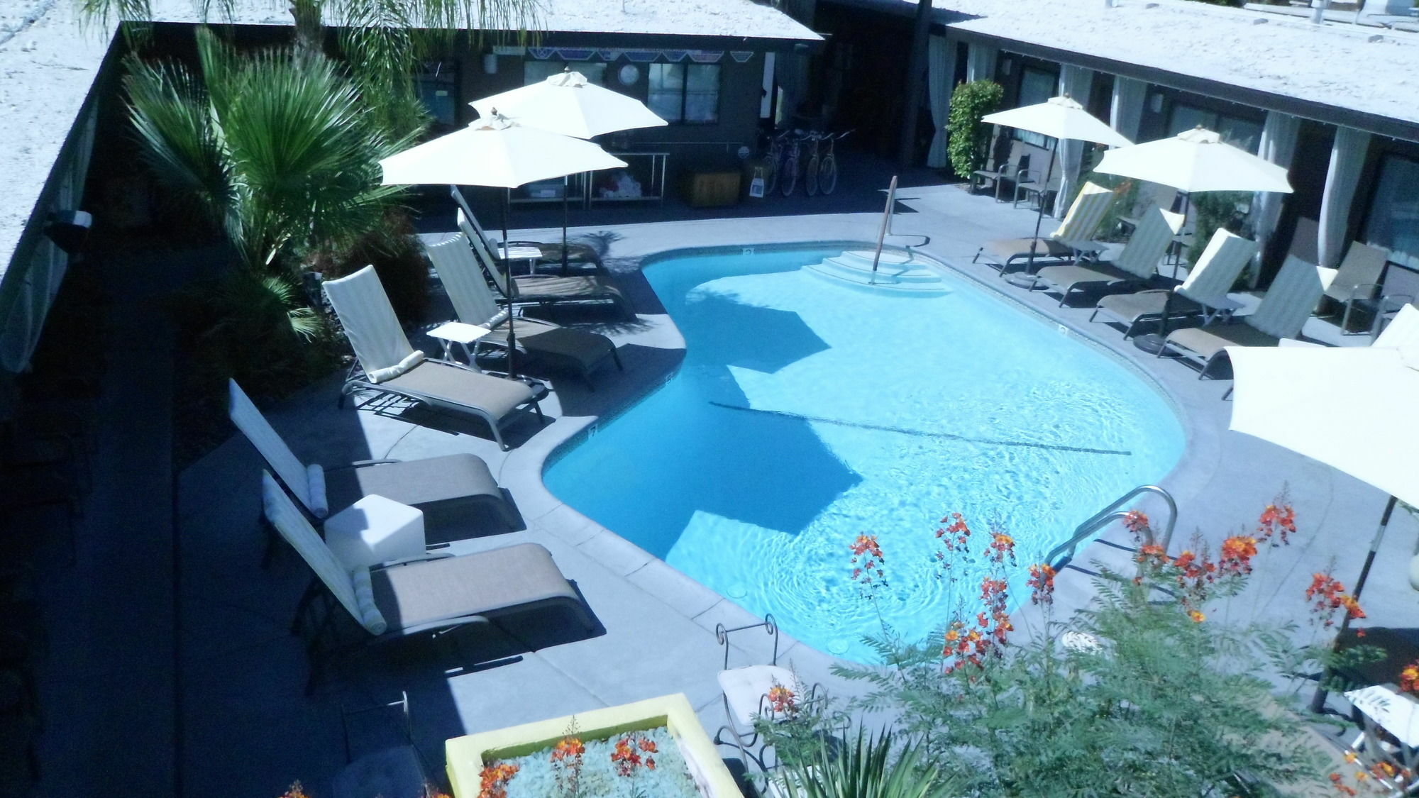 Avanti Hotel パーム・スプリングス エクステリア 写真